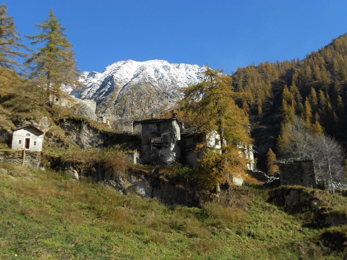 La Mura' - Il Vostro Posto Nel Gran Paradiso Ronco Canavese Екстер'єр фото