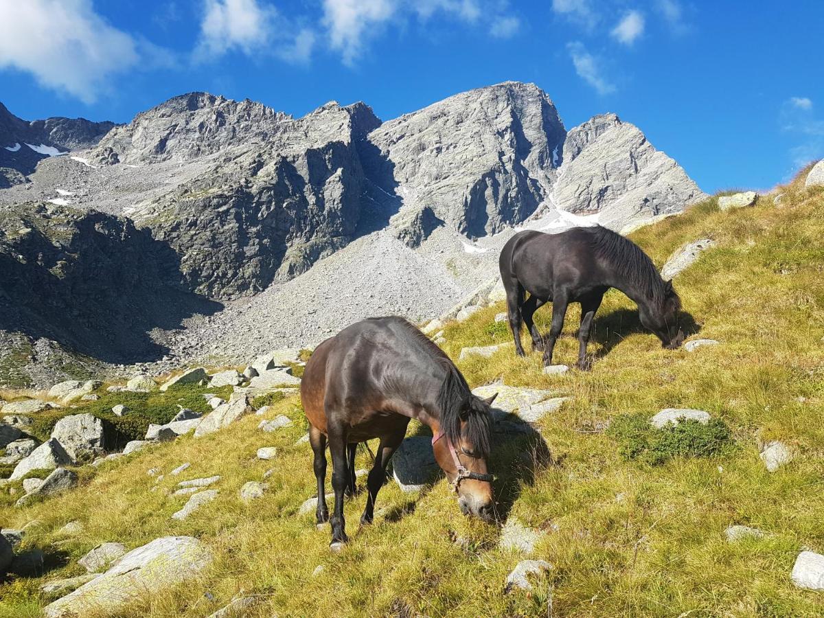 La Mura' - Il Vostro Posto Nel Gran Paradiso Ronco Canavese Екстер'єр фото
