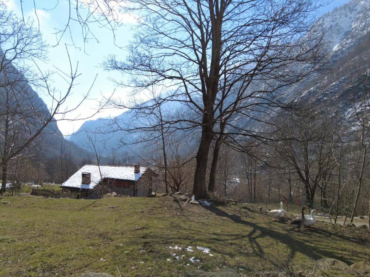 La Mura' - Il Vostro Posto Nel Gran Paradiso Ronco Canavese Екстер'єр фото