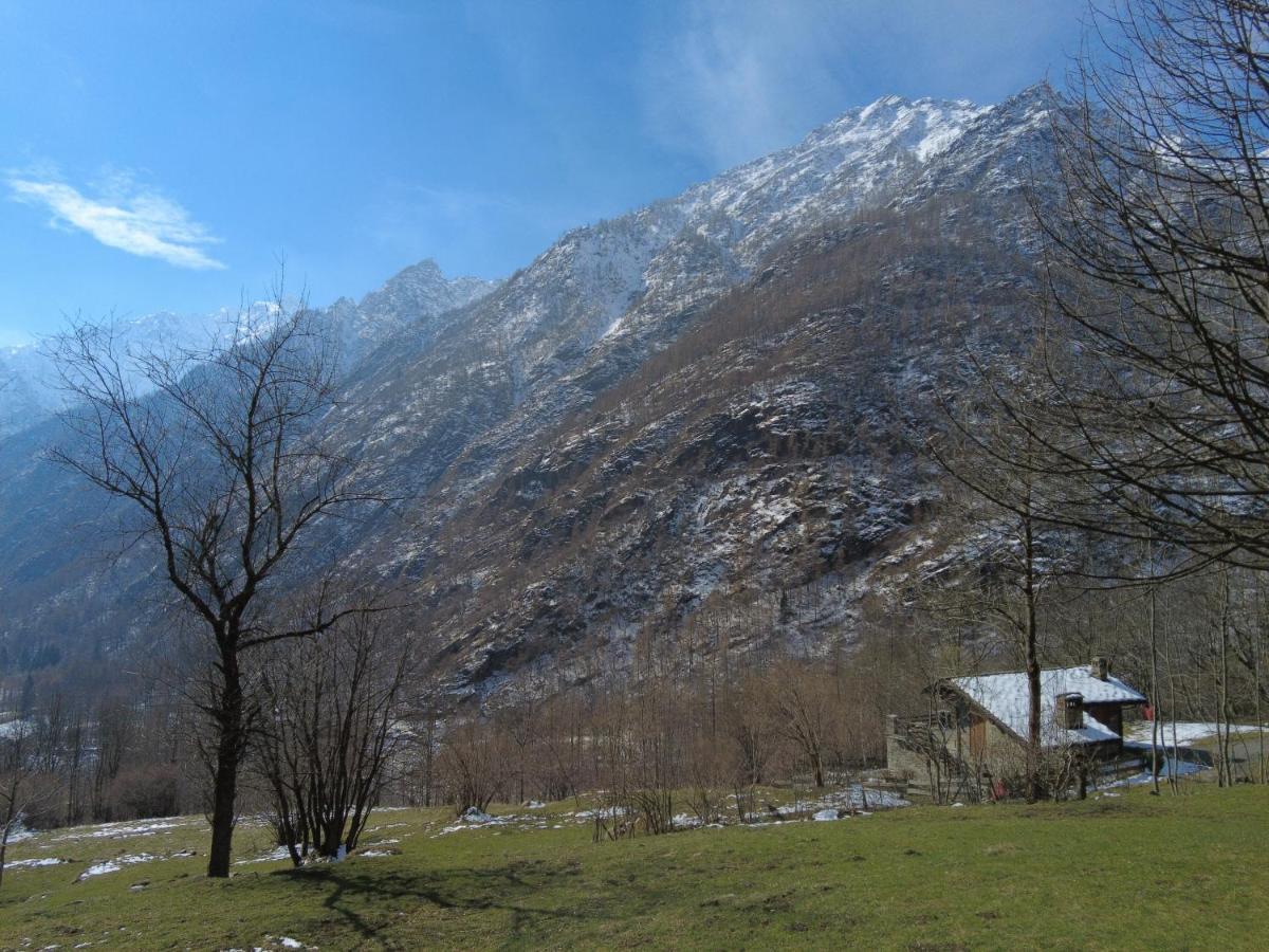 La Mura' - Il Vostro Posto Nel Gran Paradiso Ronco Canavese Екстер'єр фото