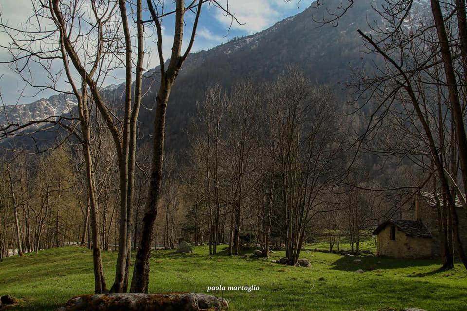 La Mura' - Il Vostro Posto Nel Gran Paradiso Ronco Canavese Екстер'єр фото