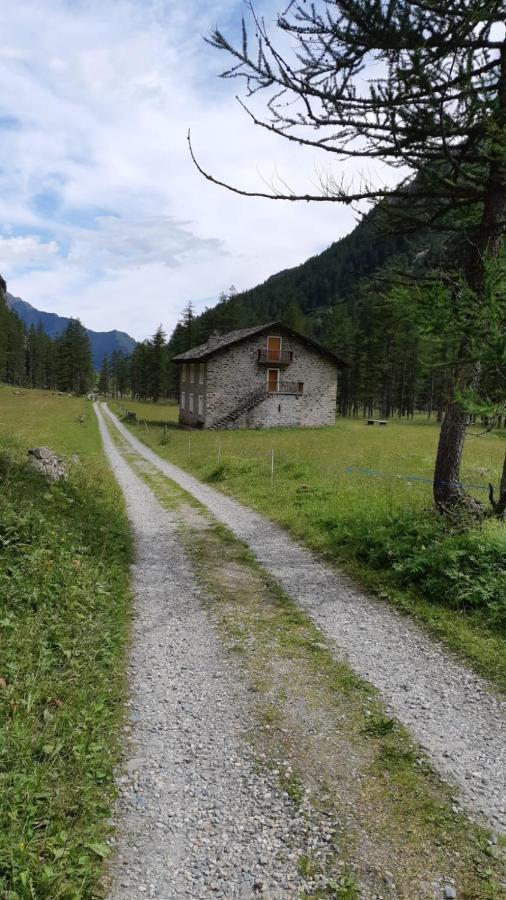 La Mura' - Il Vostro Posto Nel Gran Paradiso Ronco Canavese Екстер'єр фото